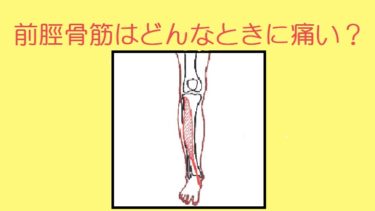 すねの前側（外側）の「前脛骨筋」の痛み。足首や土踏まずに出ることも⁈