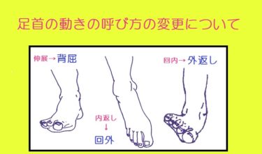 足部・足関節（足首）運動名称の表記の変更について。
