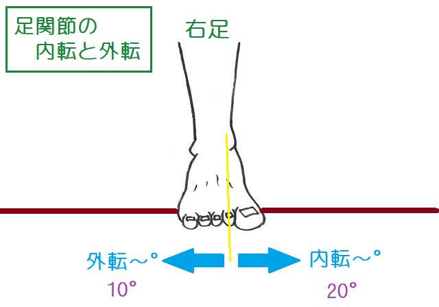 第2中足骨の長軸が内側に向く角度で内転～°と表現する。外側はその反対。