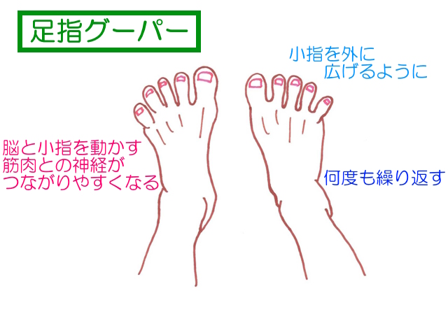 意識して足指を動かすことで脳と足指を動かす神経がつながりやすくなる