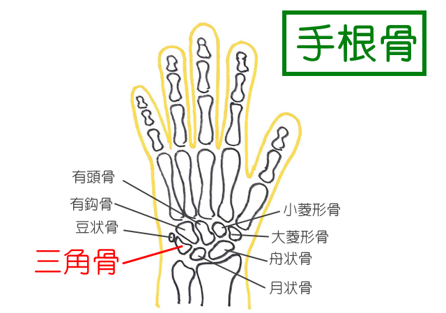 三角骨は手首にある手根骨のひとつ。足部の三角骨は副骨（過剰骨）