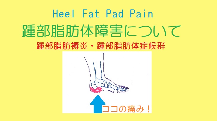 【踵部脂肪体】の障害はかかとの痛み。衝撃吸収能力の低下が原因？