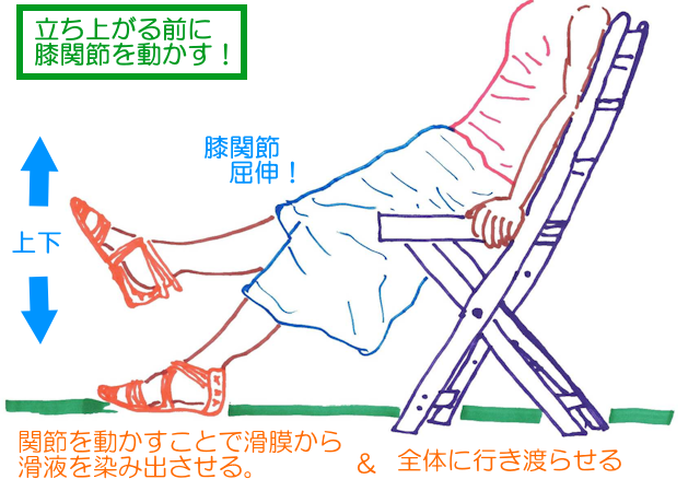 立ち上がる前に膝や股関節を動かすことで滑膜から関節液を染み出させて、関節全体に行き渡らせることが摩擦を防ぐコツ