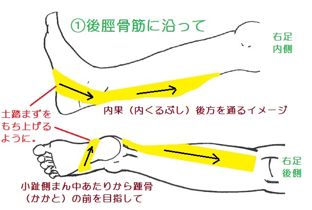 後脛骨筋を保護するテープ1本目。足底から内果後方を通って膝裏ぐらいまで。