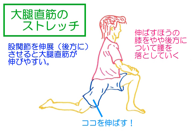 大腿直筋のストレッチ。伸ばすほうの膝を股関節より後方に着いて腰を落としていく。