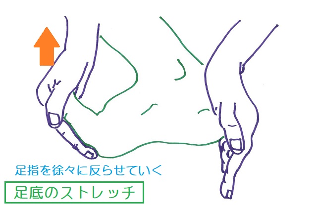 足指を反らせる（背屈）させることで足底腱膜をストレッチ