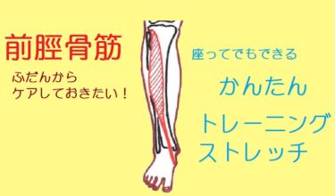 前脛骨筋は脛骨と腓骨の間にある筋肉