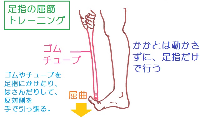 ゴムやチューブを足指に引っかけて抵抗をつくり、屈曲させて足裏の筋肉を鍛える