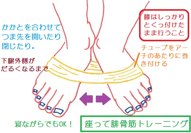 チューブを足部に巻き付けて腓骨筋をトレーニングする方法。膝とかかとをつけたまま、つま先を開いたり閉じたりする